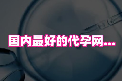 北京助孕网 1