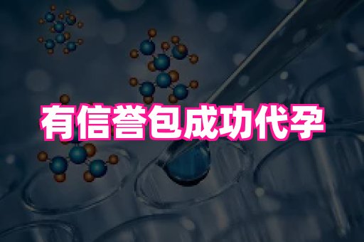 北京助孕网 2