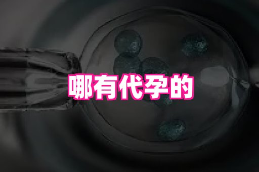 北京助孕网 4